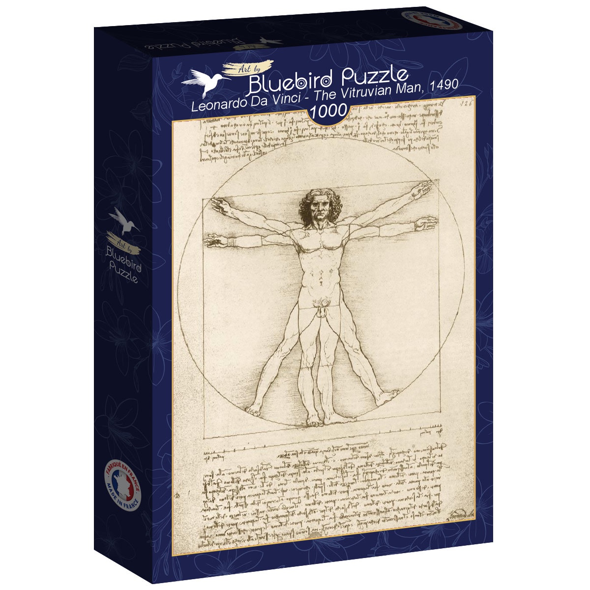 Leonardo Da Vinci The Vitruvian Man