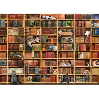 Puzzle 1000 pièces : La bibliothèque de Noël