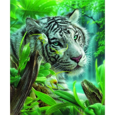 Puzzle White Tiger of Eden Sunsout-21802 1000 pièces Puzzles - Animaux  sauvages - /Planet'Puzzles