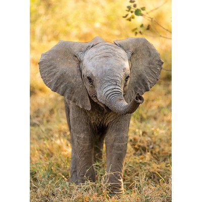 Jeux éducatifs Pour Enfants Puzzle 12 Pièces Animal Sauvage éléphant Mignon  Imprimable