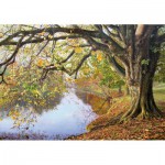   Puzzle en Bois - Keith Melling: Autumn on the River Wharfe
