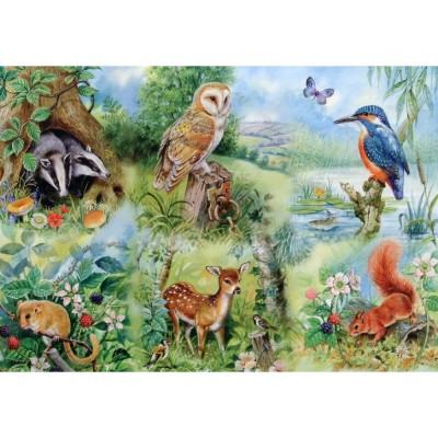 Puzzle The-House-of-Puzzles-1424 Pièces XXL - Nature Study