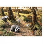 Puzzle   Badgers Dell