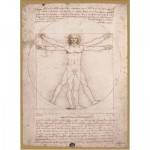 Puzzle   Léonard de Vinci : L'Homme de Vitruve