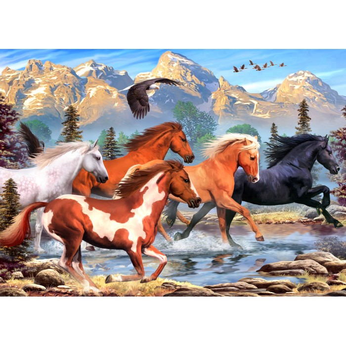 Puzzle  Alipson-Puzzle-F-50171 Wild and Free