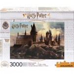 Puzzle  Aquarius-Puzzle-68510 Harry Potter - Poudlard