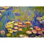 Puzzle  Art-by-Bluebird-60044 Claude Monet - Nymphéas