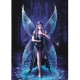Anne Stokes - Enchantment