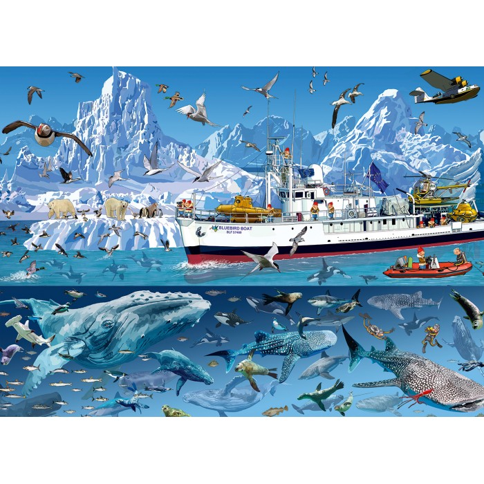 François Ruyer - Arctic - Bluebird Boat
