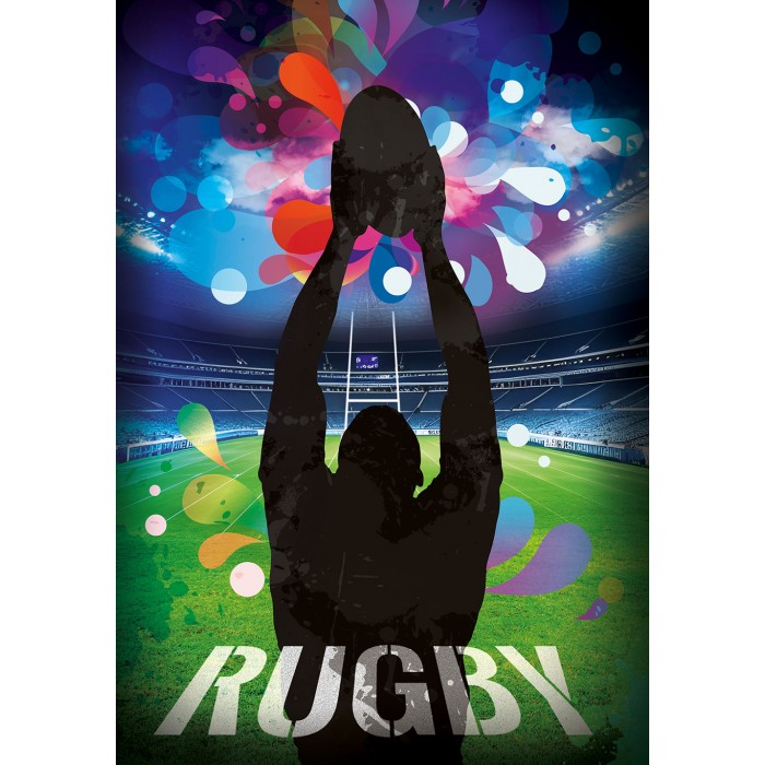 Puzzle  Bluebird-Puzzle-F-90487 Rugby Stadium