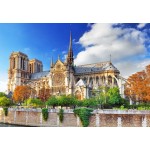Puzzle  Bluebird-Puzzle-F-90768 Cathédrale Notre-Dame de Paris