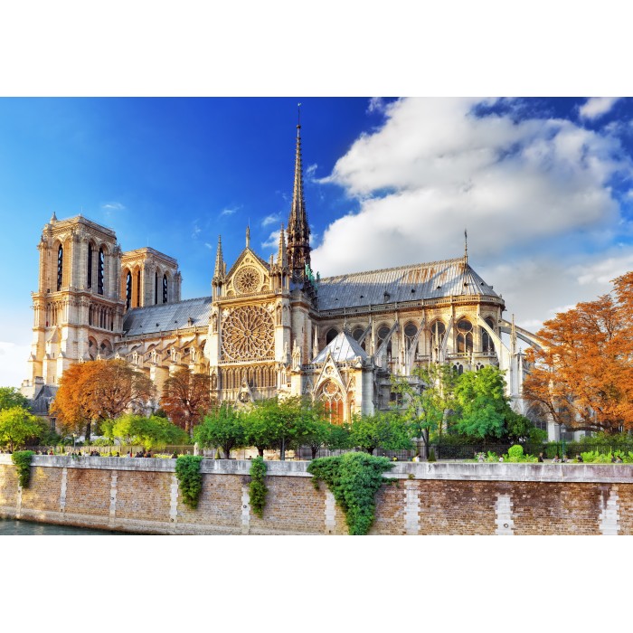 Puzzle  Bluebird-Puzzle-F-90768 Cathédrale Notre-Dame de Paris