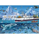 Puzzle   François Ruyer - Arctic - Bluebird Boat