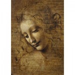 Puzzle   Leonardo da Vinci - La Scapigliata, 1506-1508