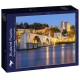 Pont Saint Benezet, Pont d'Avignon