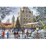 Puzzle   Skating Outside Natural History Museum