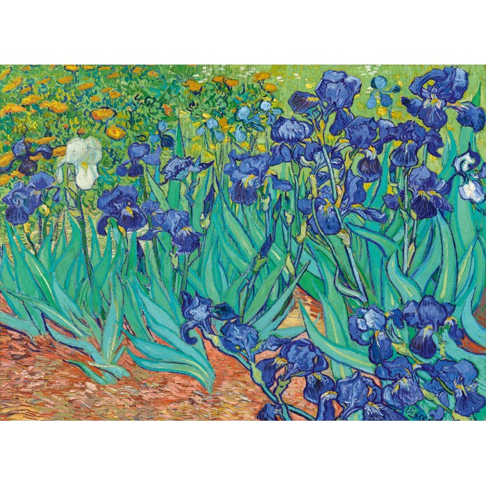 Puzzle   Vincent Van Gogh - Les Iris, 1889