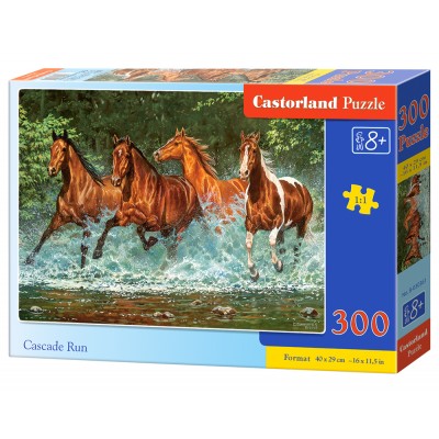 Puzzle Castorland-030361 Course de la Cascade