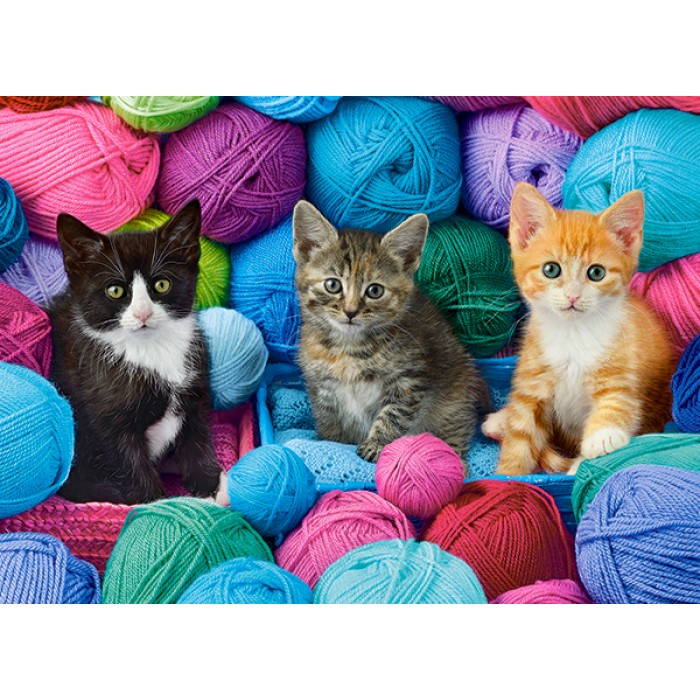 Puzzle Castorland-030477 Chatons