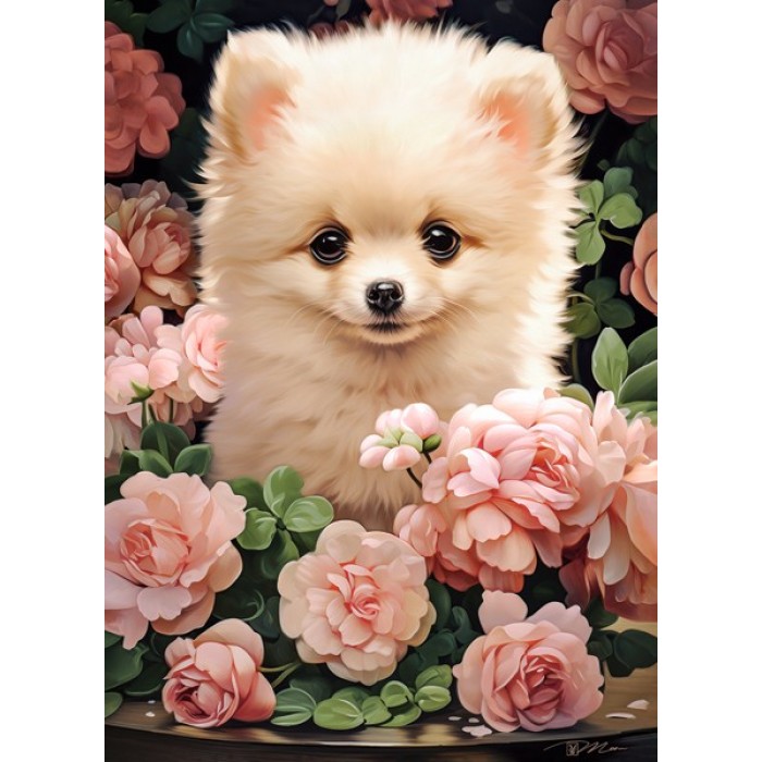 Puzzle  Castorland-030552 Chiot Spitz Nain dans les Roses