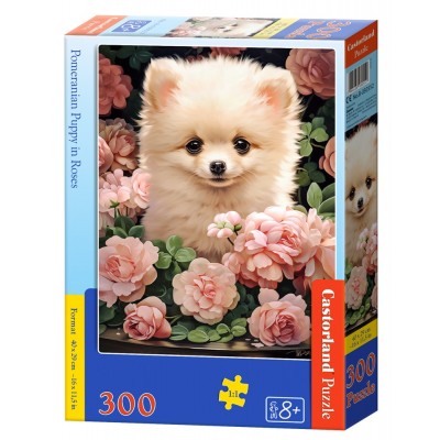 Puzzle Castorland-030552 Chiot Spitz Nain dans les Roses