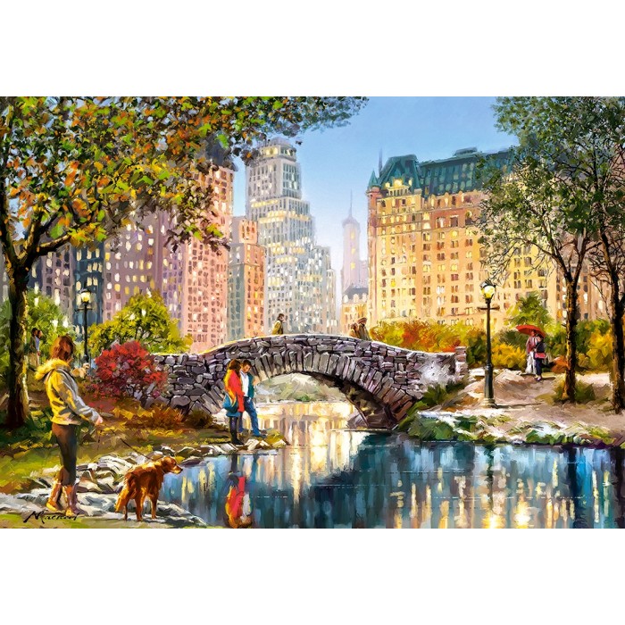 Puzzle  Castorland-104376 Promenade Nocturne dans Central Park