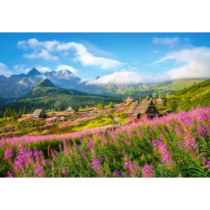 Puzzle  Castorland-104512 Tatras, Pologne