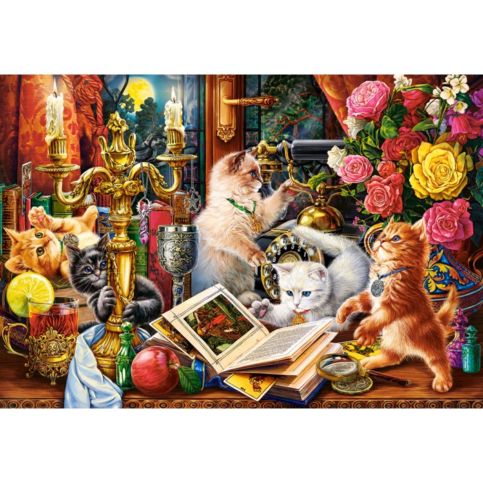 Puzzle  Castorland-104857 Wizard Kittens