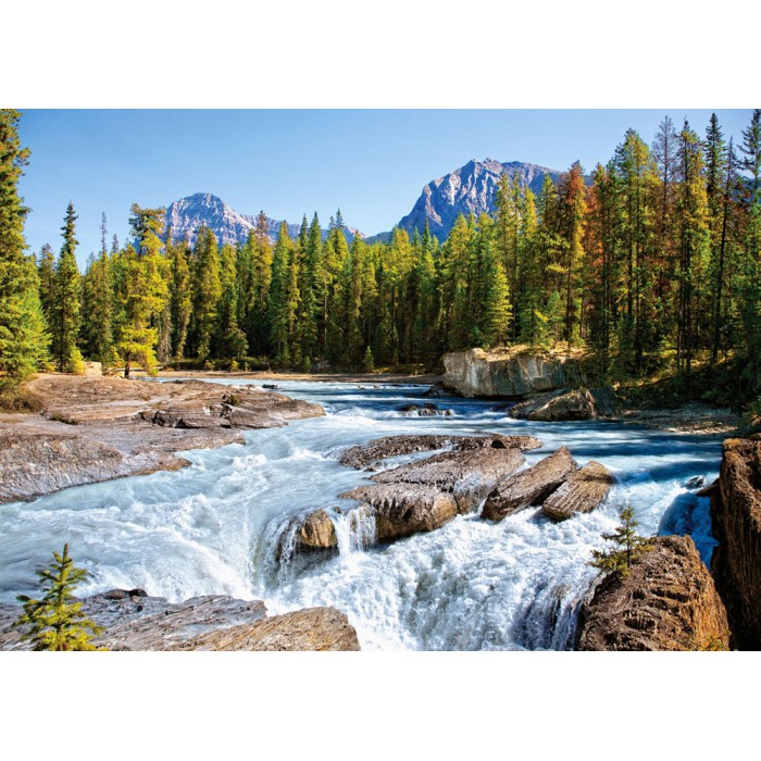 Canada, Parc National de Jasper : Rivière Athabasca