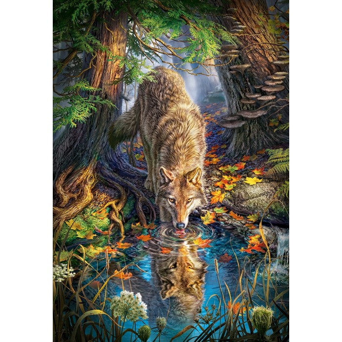 Puzzle  Castorland-151707 Loup dans la Forêt