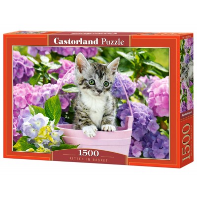 Puzzle Castorland-152001 Chaton dans le Pot