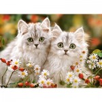 Puzzle  Castorland-222131 Persian Kittens