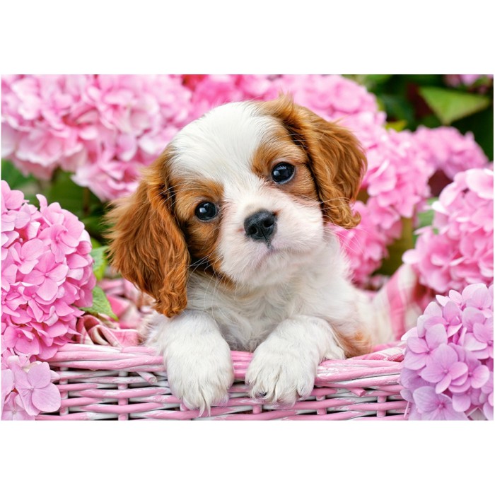 Puzzle Castorland-52233 Chiot en Fleurs Roses