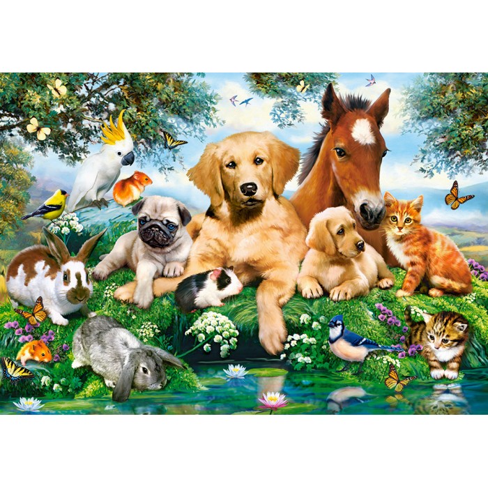 Puzzle  Castorland-53230 Les Amis de l'Été