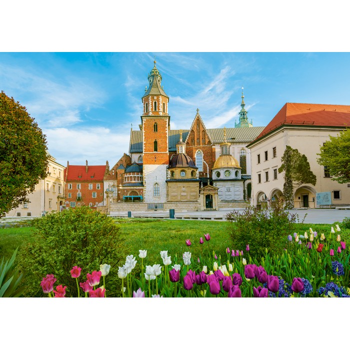 Puzzle Castorland-53599 Wawel Château, Cracovie, Pologne