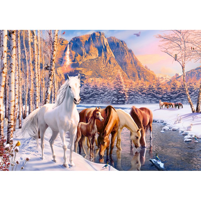 Puzzle  Castorland-53704 Fonte d'Hiver