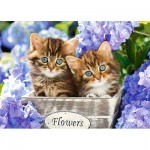 Puzzle   Chatons