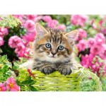 Puzzle   Kitten in Flower Garden