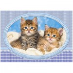 Puzzle   Kittens Curling up on a Blanket