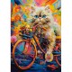 Le Vélo Fleuri du Chaton