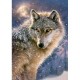 Loup Solitaire