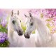 Romantic Horses