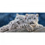 Puzzle   Snow Leopard Cubs