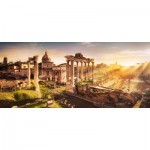 Puzzle   View of the Forum Romanum