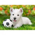Puzzle   White Terrier avec son Ballon de Football