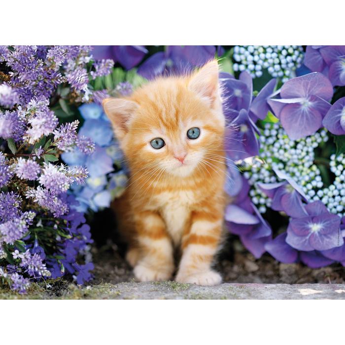 Puzzle Clementoni-30415 Chaton dans les Fleurs