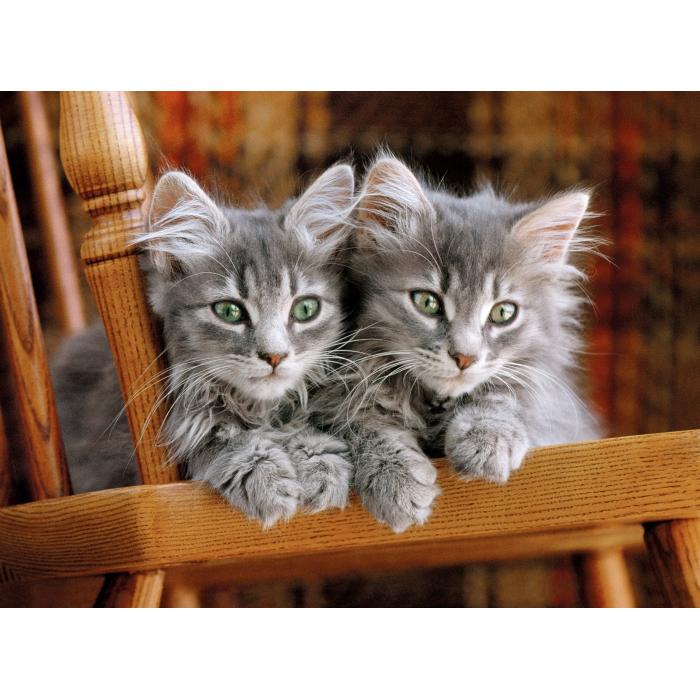 Puzzle Clementoni-30545 Chatons Gris sur la Chaise