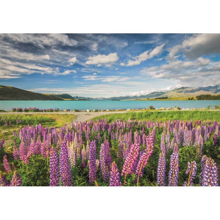 Puzzle  Clementoni-31731 Lupin Au Lac Tekapo