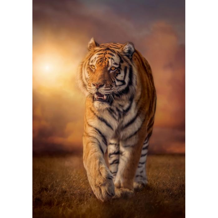 Puzzle  Clementoni-31806 Tigre