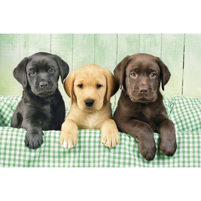 Puzzle  Clementoni-39279 Trois Laboratoires